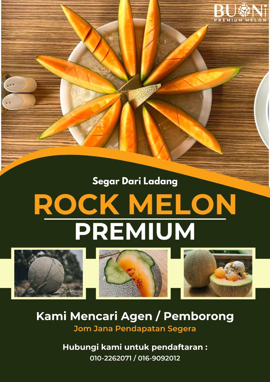 CONSULTATION AGRICULTURE PRODUCT & SERVICES ( ROCK MELON FIELD)